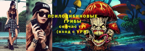 гидра Мегион