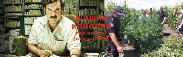 гидра Мегион