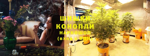 мдпв Медногорск